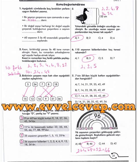 6 sınıf matematik sayfa 31 cevapları